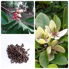 ɢ�b��Ц�N����ɽ��Ц������Ц���㺬ЦƷ�N�Rȫ�@�־G����N