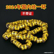 hِ_hhhhhƷ2024hyһӛ̖