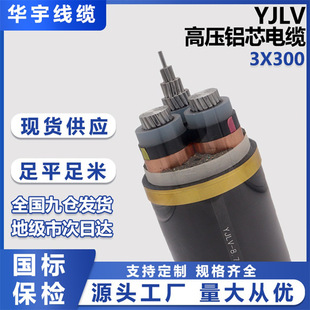 YJLV �Xо늾���|������ϩ�^���߉���|�����Ŀ���늾��F؛