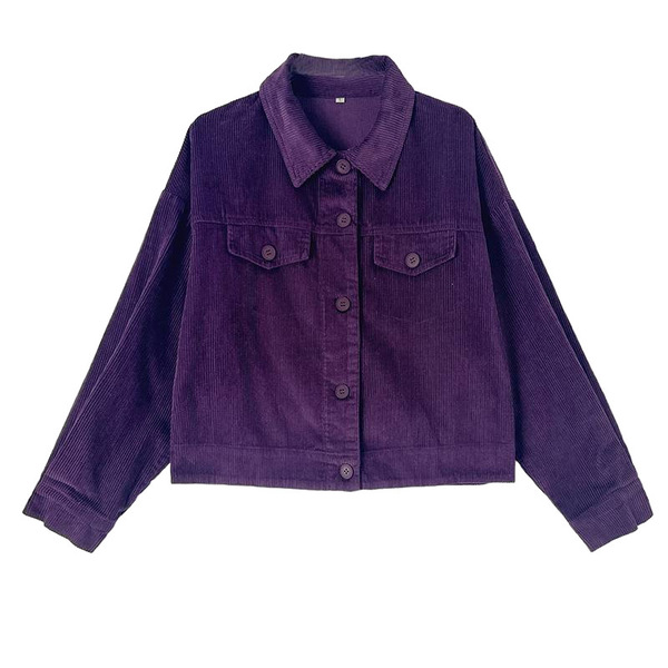 Autumn elegant velvet shirt