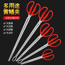 �S�X�A�X�~�A�����q�з����ץ׽���r�����s���������߻��Q�����A