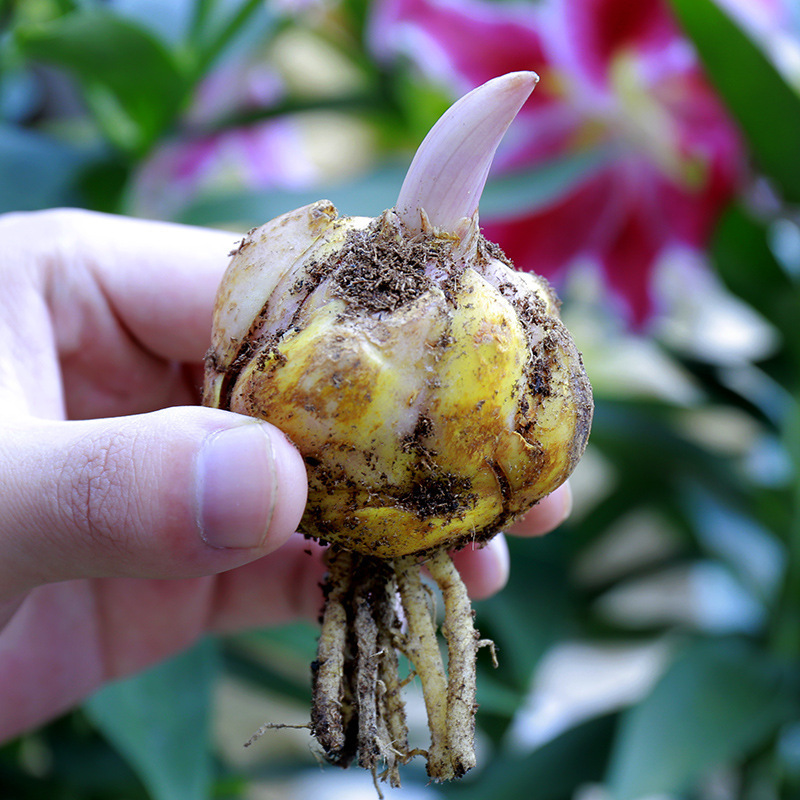 ˮٺϷNѿٺϻļ_ֲ҃Ȼ׻N