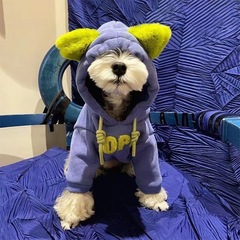 狗狗衣服秋冬雪纳瑞比熊泰迪中小型犬猫咪加绒保暖连帽卫衣绢花