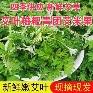 ���r���ݬFժʳ�ð��~���lҰ�����F�������������۰��~���ﰬ�׹�