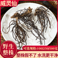 Ұɽ`250ҰɵFɏ`ɷ؛