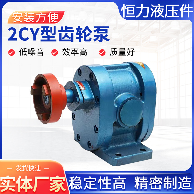 齿轮泵2CY不锈钢齿轮泵润滑油泵卧式高压型液压齿轮油泵