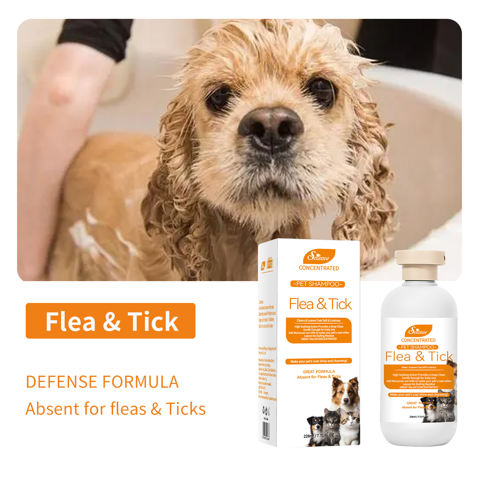 Flea & Tick