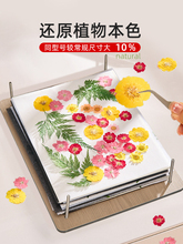 ✅压花板植物标本制作干燥板干花手工diy工具材料相框压花器押花