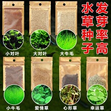 水草陶粒沙水草泥鱼缸造景种植土水族草缸底砂陶瓷沙能源砂免邮