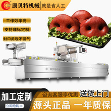 推荐 预制菜加工设备卤肉拉伸膜真空包装机 豆皮肉卷拉伸膜真空机