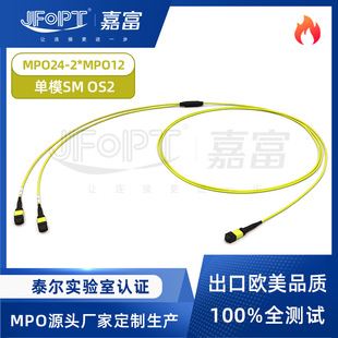 24оMPO��֧������ģOS2 MPO-24�D2*MPO-12���I�չǸɾW�j����