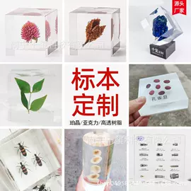 标本;工艺品加工;树脂工艺品