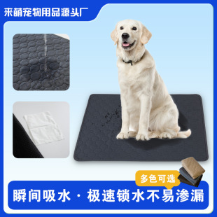 Cross-Border Popular Pet Diaper Pad, Washable and Reusable, Instant Absorbent Anti-Slip Pad, Dog and Cat Training Pad