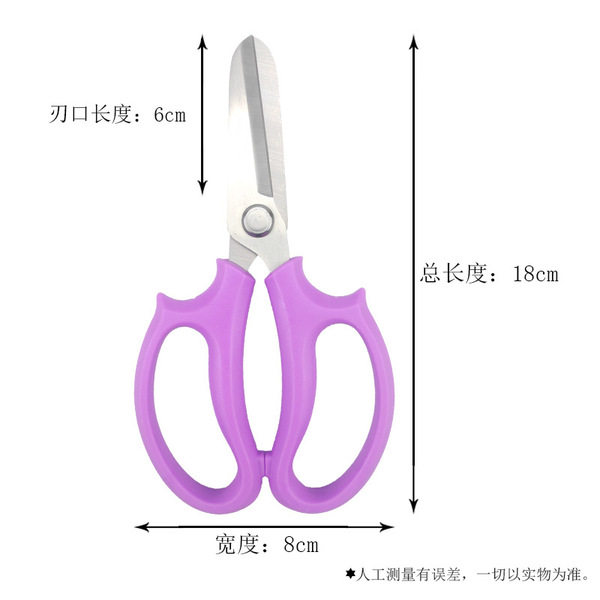 Scissors stainless steel