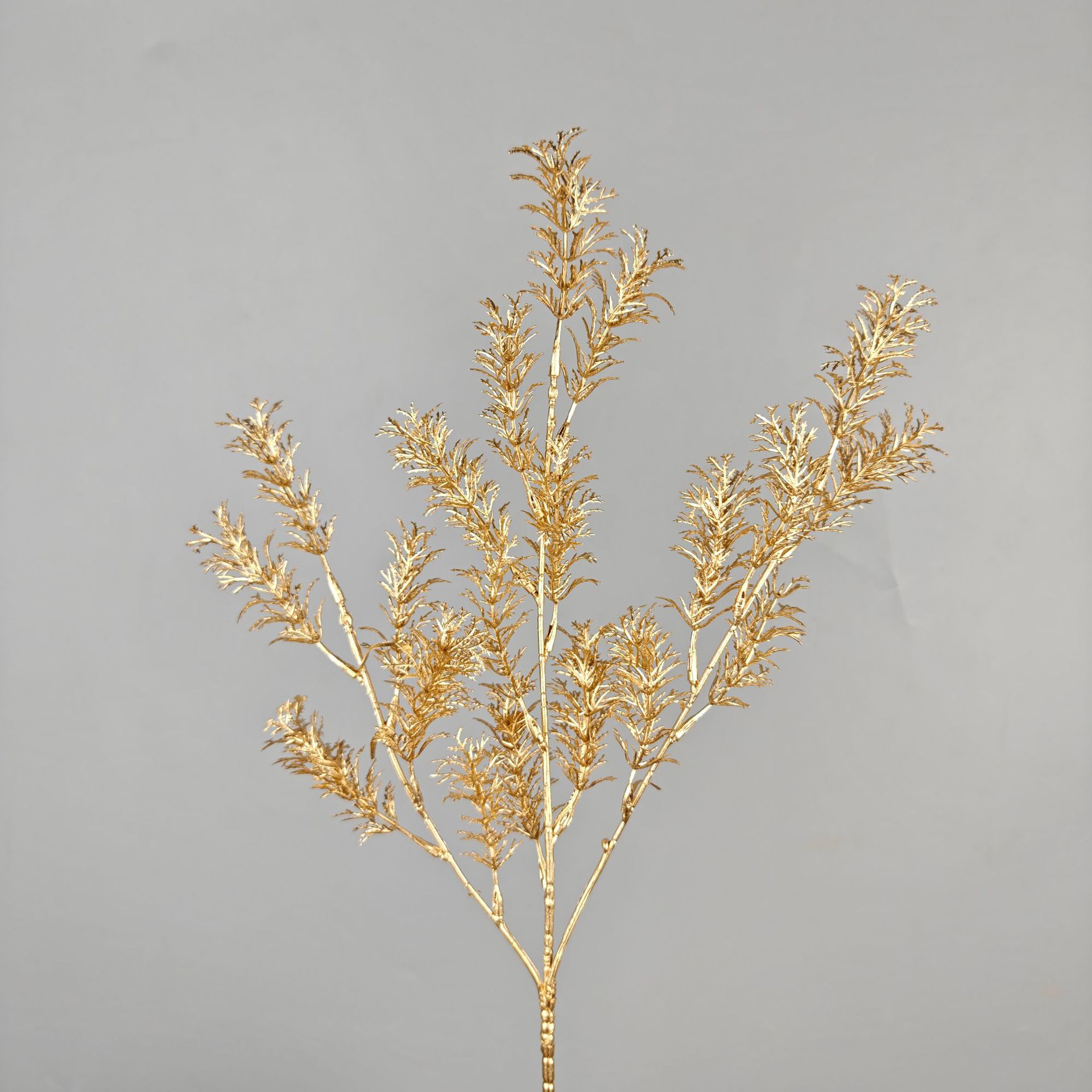 Small fragrant grass