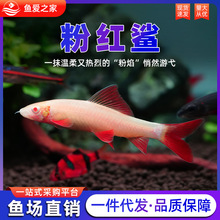 �ۼt���~�����Ꭷ�^�p�~���wС���~�ݸ�Ⱥ���~�ʺ�����ˮ���B�~