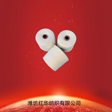 �󻯜�]�Ϲɼ�21֧32֧40֧�t�A�����h�V���C����������T21S/2��