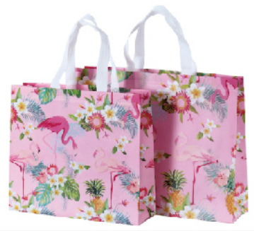 Bolsa de mano no tejida multi-especificación plegable con regalo de mano bolsas de compras de mano logotipo impresa en color bolsas de tela no tejida