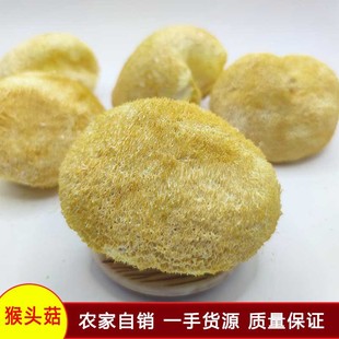 �����خa���^����؛���l �S��Դ�^���^��ʳ�þ�