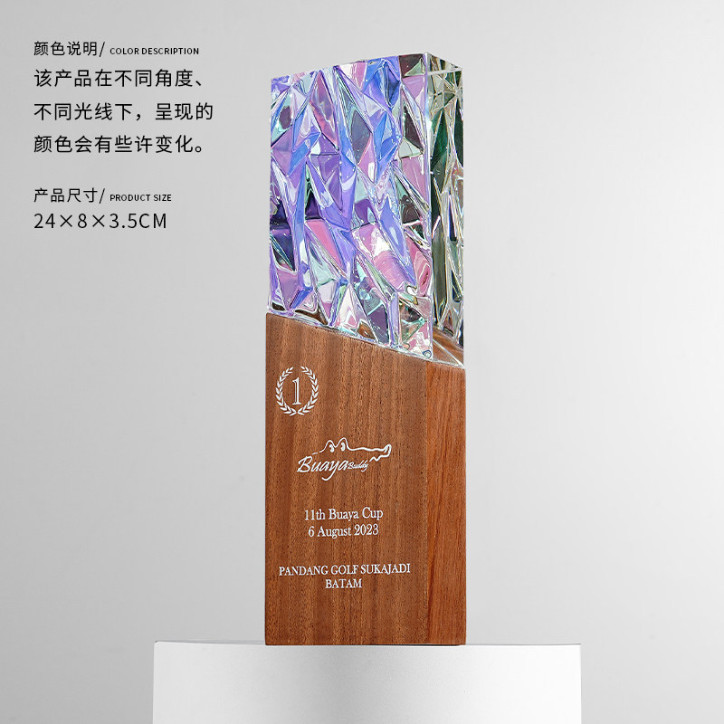 Trofeo de Cristal Deslumbrante de Cristal con Caja de Regalo para Premiaciones y Regalos Empresariales