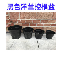 ¼ʯm͸ɫW迨mm33cmFh