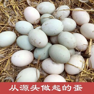 【2026立秋推荐】孕妇月子专用鸭蛋 低盐无添加 产后哺乳期安心食用