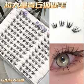 超大量粘胶款青丘狐假睫毛贵气上镜混血上镜妆轻盈灵动放大双眼