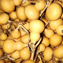 ���Ϻ��J��ˇƷ�S�����l�������lԭɫ���J��ˇƷ