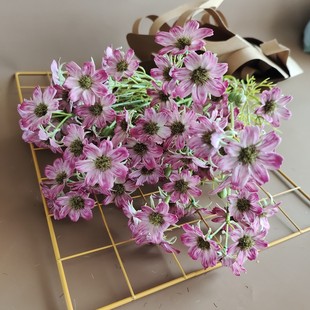 ����ֲ�qоҰ���r����ʾ� ����؛Դ ���W�ҾӘӰ��g�bzӰ����