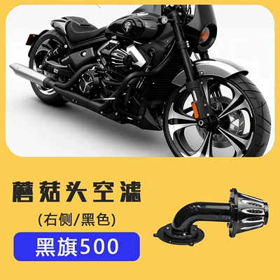 Brake caliper cover – Etc - black-flag-500-mushroom-head-air-filter-black-on-the-right-side