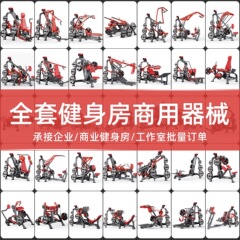 帕纳塔推胸训练器商用健身器材健身房全套器械背腿胸部健身器材