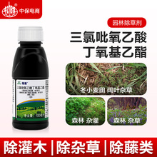 利尔屠灌林保三氯吡氧乙酸灌木阔叶杂草烂根剂园林强力农药除草剂