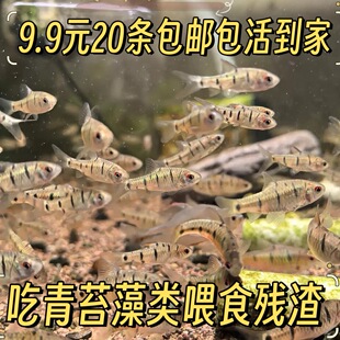 ԭ���B��ˮ�~�l�yС?�~���w��ˮСϪ�~���?Ⱥ���^�p���B�ͻ�