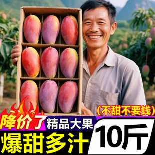 ���ڏV���F��â�������خa���rˮ��10�������䑪���r���r��֭