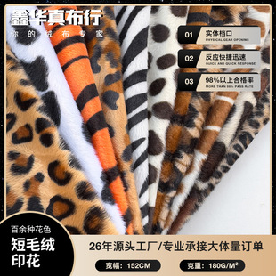 ��ë�qӡ�� ���y���R�y�L�i¹���c������y ��ë�qӡ�� �A�Wӡ��