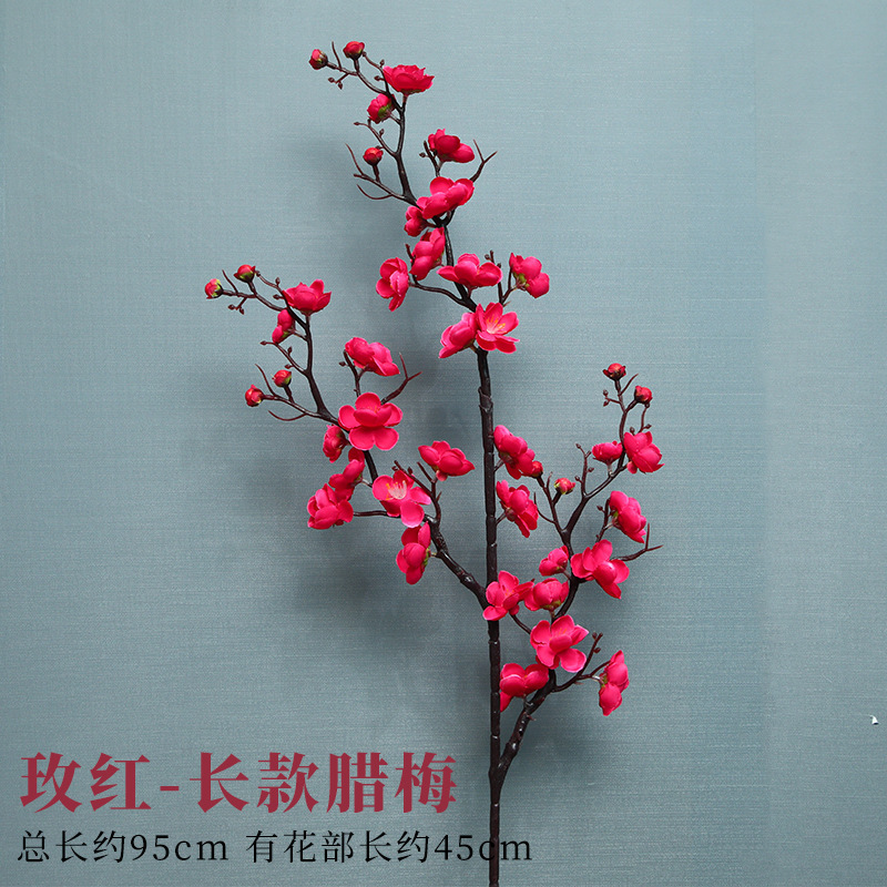 롱 로즈 레드 윈터스윗