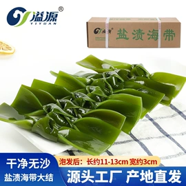 海带;海藻类;紫菜