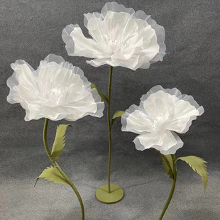 �ֹ���ĭ�����z����ĭ�������b��¿��c��̨·����Y��������