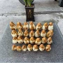 弥勒人物观音手工根雕