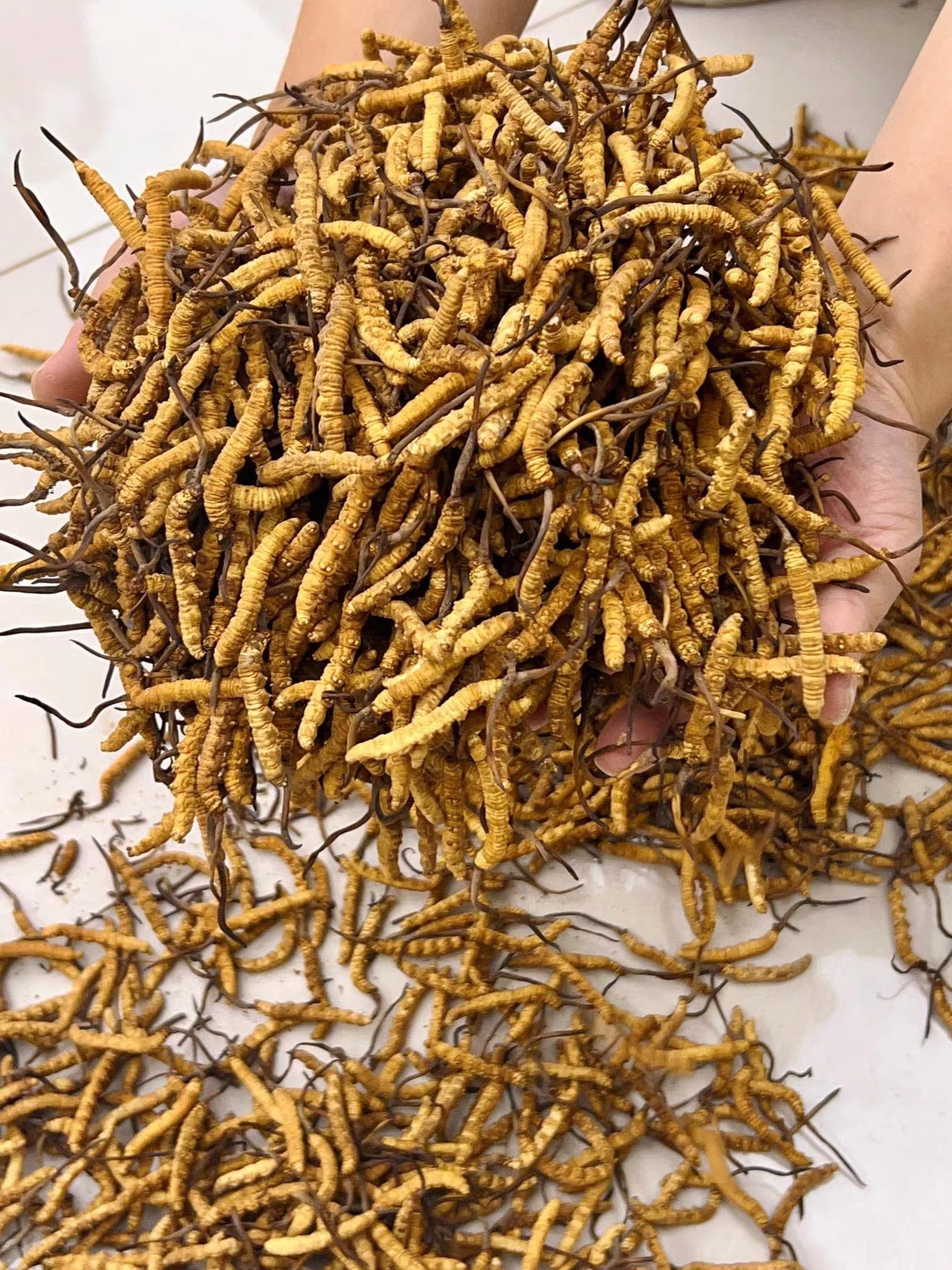 3d6039bf3c7ab3b82404ddf15ae6ab