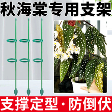 秋海棠支撑杆鳟鱼植物支撑杆固定器花架造型支架造型花支架