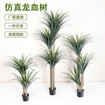 仿真龙血树大型落地假绿植盆栽室内客厅装饰摆件龙舌兰假植物造景