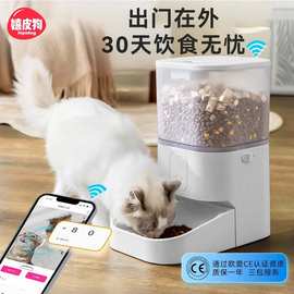 宠物猫咪WiFi定时定量智能喂食器猫碗自动出粮远程app可操控狗碗