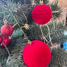 �羳����ɢ�b6/8CMֲ�q��PS�����ؽq��c�����}�Q��ϲ�c�b���