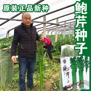 �����U�۷N�ӌ����L�������۲˷N�Ѹ߮a�������ﲥ�N�߲˷N����