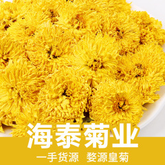24年新花菊茶黄山黄金絹皇帝菊大黄菊五源皇帝菊公州大花メーカーバルク品卸売
