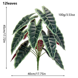 ����Gֲ12�~��ؔ��͏d�b��⻨�@�W�tֱ���g���~���Ϻ���ֲ��