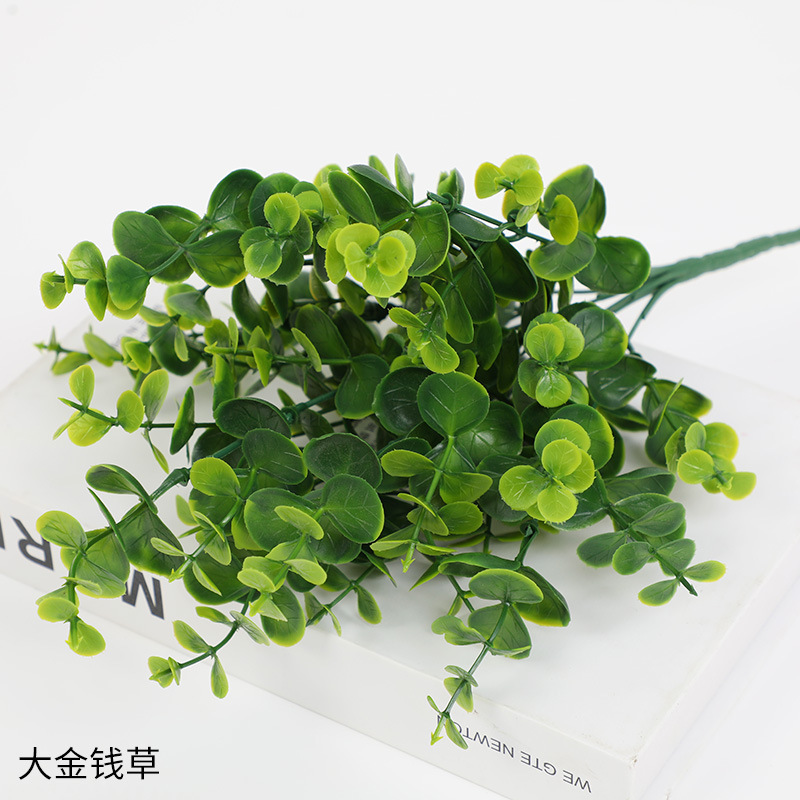 Hierba del dinero verde