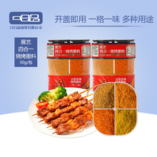 展艺四合一烧烤撒料家庭调味料家用孜然辣椒烤肉蘸料牛羊肉串撒料