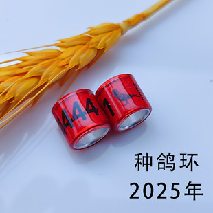 2025��ِ�������N���h�����_�h�����o���ӛ�_�h�ȭh�ʭh